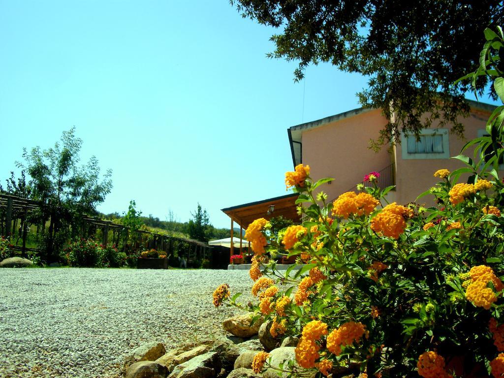 Agrihouse Villa Bracciano  Exterior photo